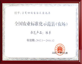 技術(shù)推廣 連接創(chuàng)新與應(yīng)用的橋梁